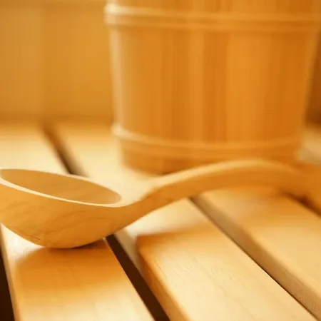 شقة يوهاناهوف *